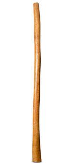 Gloss Finish Flared Didgeridoo (TW1408)